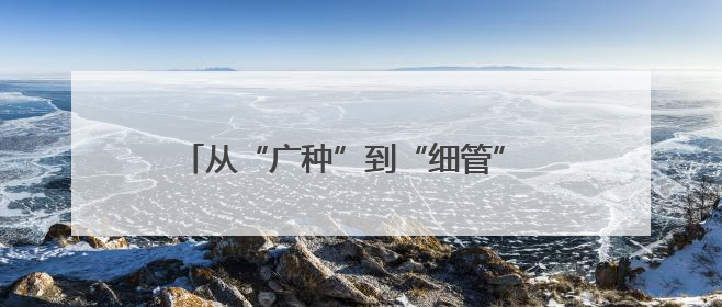 从“广种”到“细管” 关岭枇杷产业的跃升之路